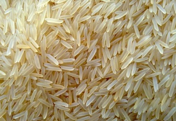 معرفی انواع برنج ایرانی