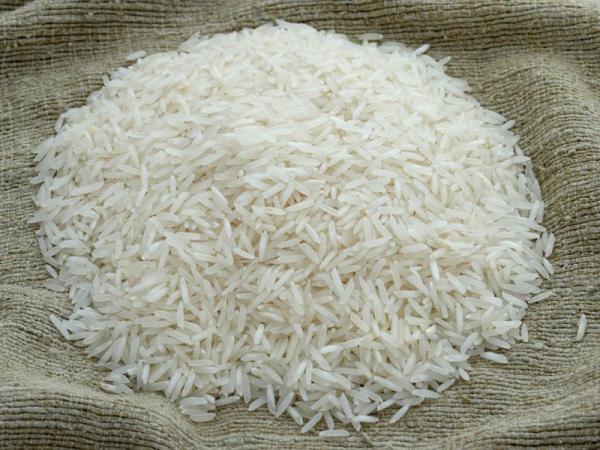 خرید برنج شمال عمده 20 کیلویی