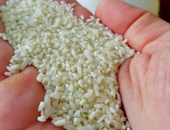 قیمت روز برنج سرلاشه ایرانی کیلویی