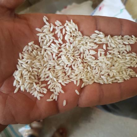 ویژگی های برنج خوشپخت 