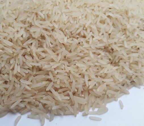 خرید مستقیم برنج فجر 20 کیلویی