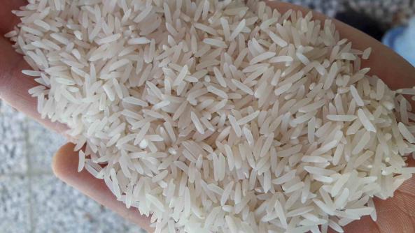 خرید عمده برنج هاشمی استخوانی سوزنی