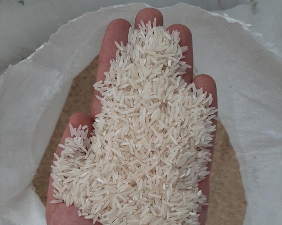 سفارش برنج فجر اعلا فریدون کنار