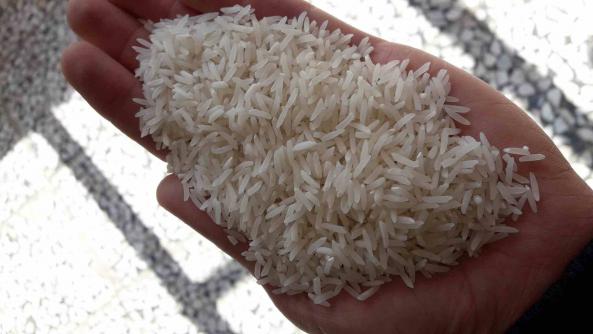 آشنایی با برنج هاشمی