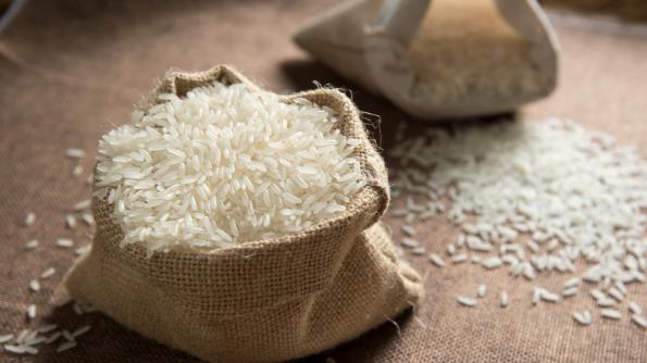 اطلاعات فنی بهترین برنج هاشمی