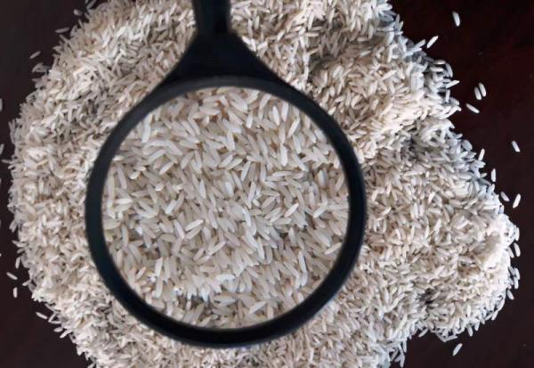 قیمت خرید برنج سر لاشه کیلویی شمال