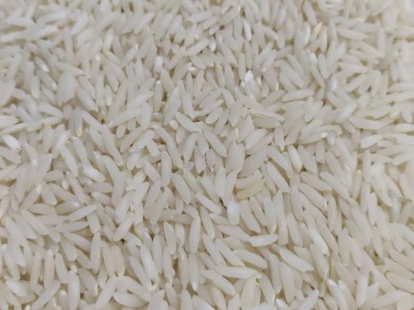 معرفی انواع برنج شمال
