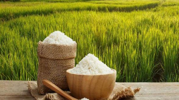 سفارش برنج ایرانی نیم دانه 5 کیلویی