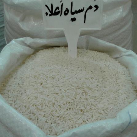 خرید مستقیم برنج دم سیاه گیلان