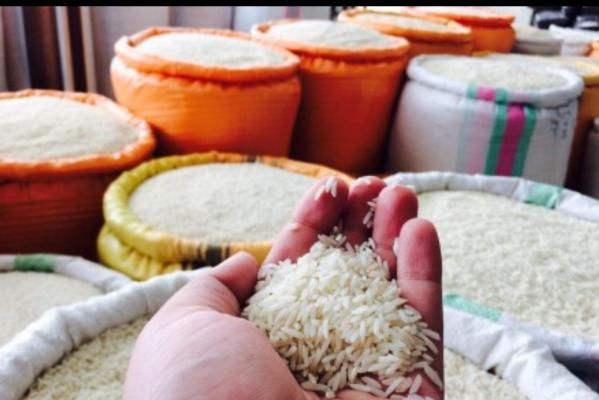 فروش ویژه برنج ایرانی ارزان 20 کیلویی