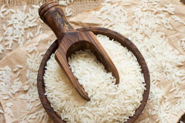 پخش انواع برنج طارم دم سیاه کشت اول