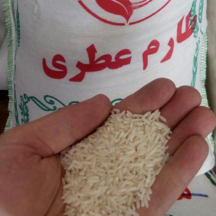 پخش برنج طارم درجه یک معطر