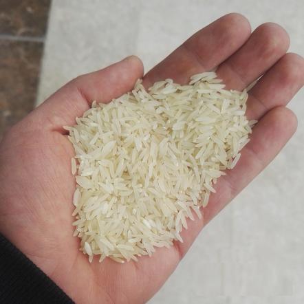 تشخیص تازگی برنج شمال