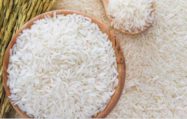 خرید عمده برنج ایرانی دانه بلند گیلان