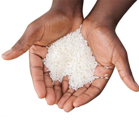 سفارش مستقیم برنج طارم دانه بلند کیلویی